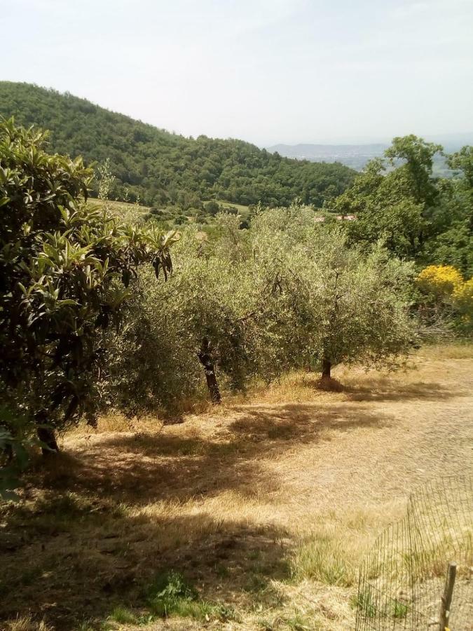 Casa Renacci Villa Subbiano Esterno foto