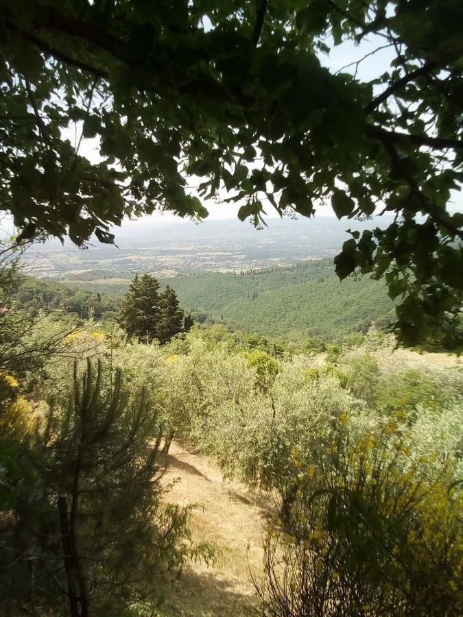 Casa Renacci Villa Subbiano Esterno foto